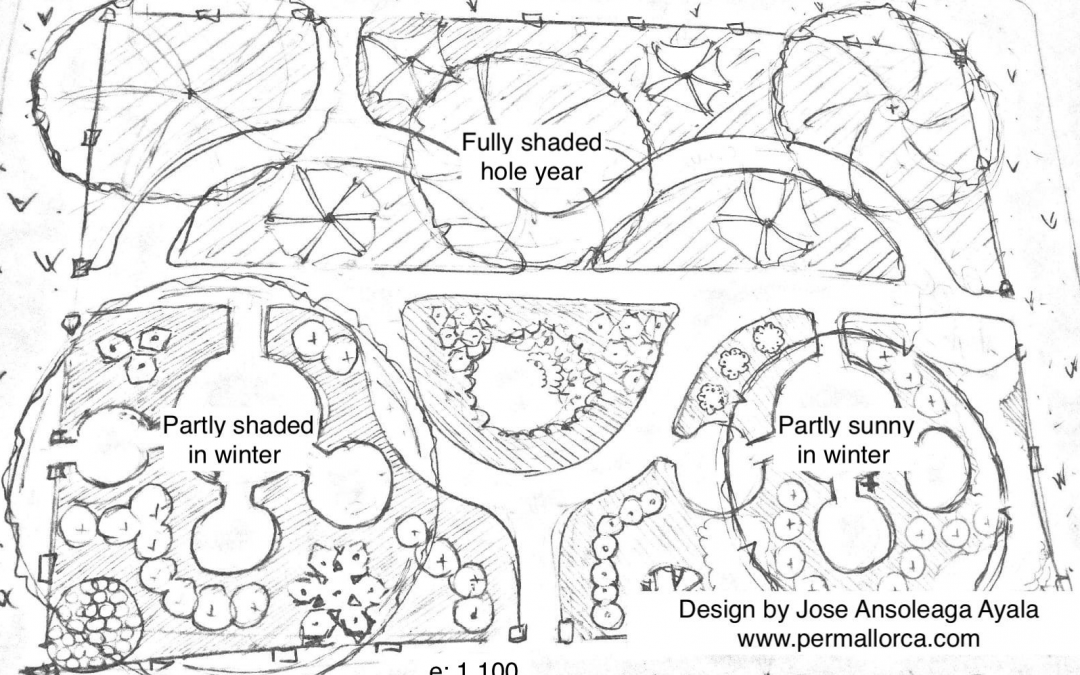 Permaculture Food Forest Layout