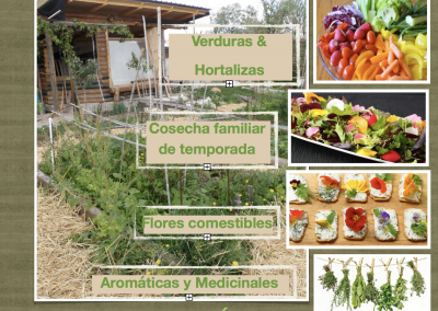 Mediterranean Family Food Forest
