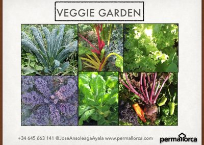 VEGGIE GARDEN