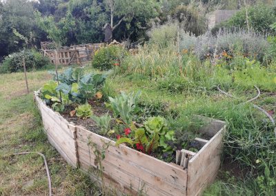 FOOD GARDEN MALLORCA