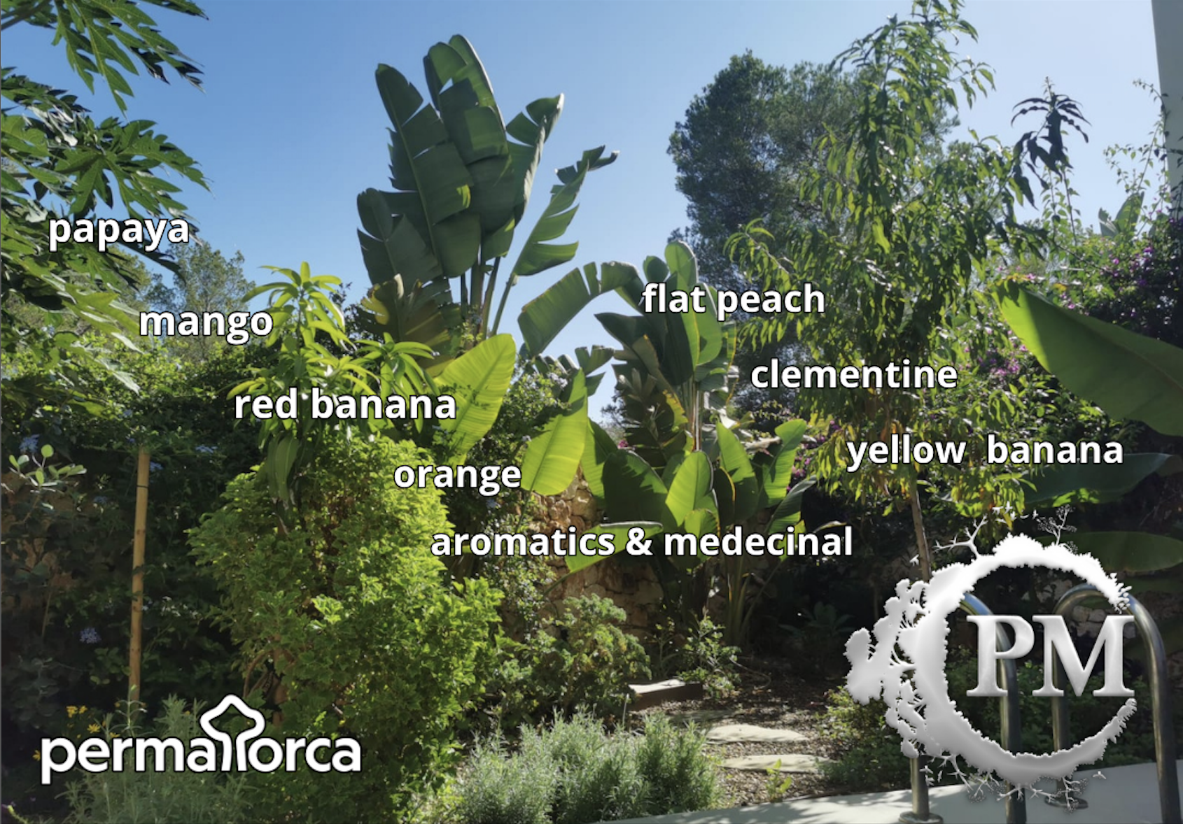 FOOD FOREST GARDEN MALLORCA